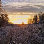Wildlife Fieldcraft: Traditional trapping, tracking, and outdoor skills drawn from real experience in New England’s woods and wetlands. Wildlife Fieldcraft