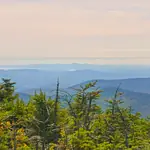 Conservation Notes: Thoughts on habitat, stewardship, and the balance between wildlife management and conservation. Conservation Notes